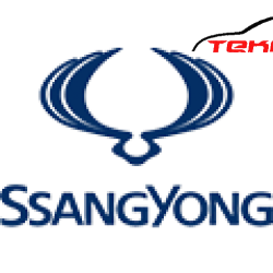 SSANGYOUNG 